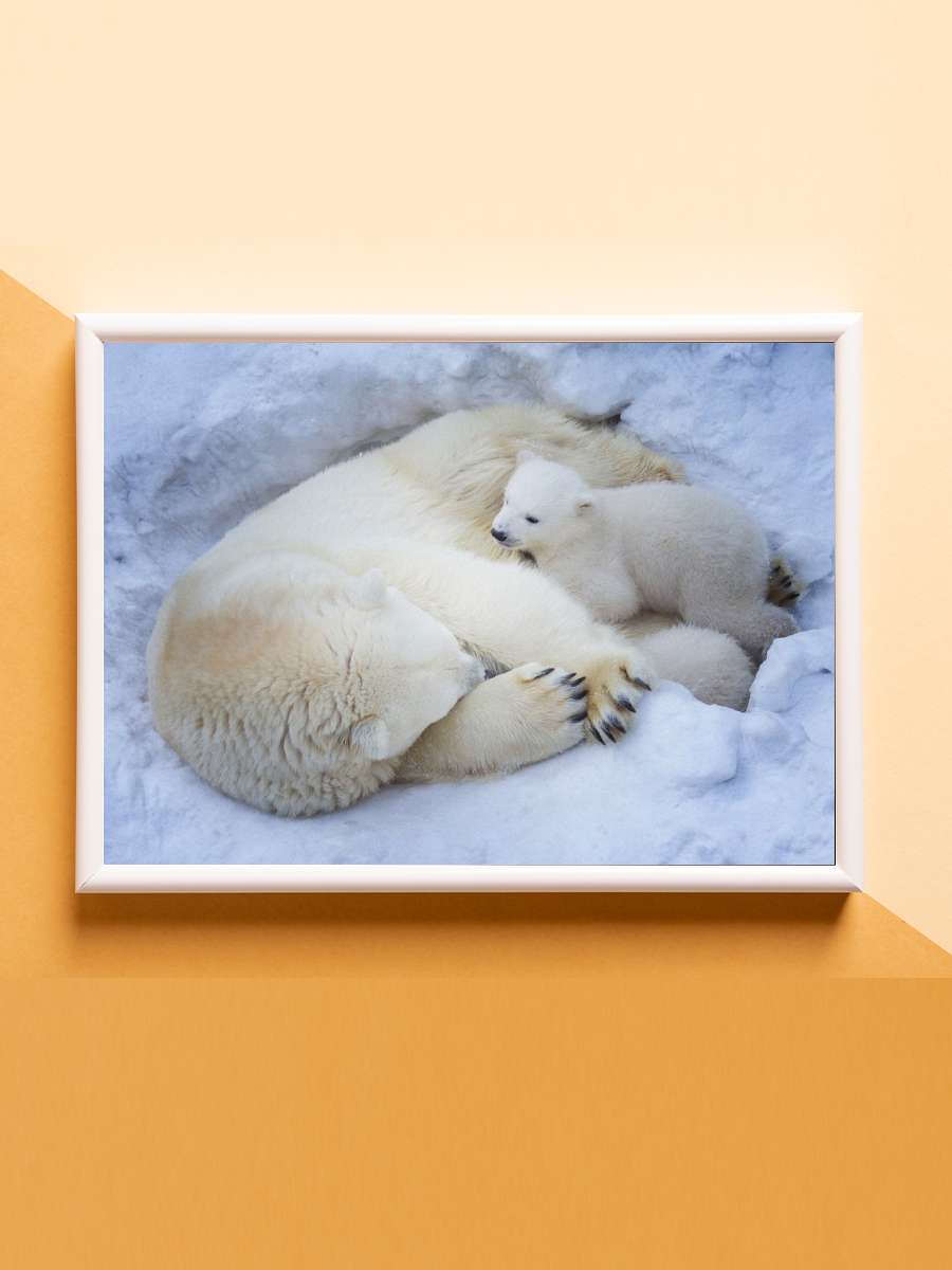 bears mother Anime Poster Çerçevesiz Yüksek Kalite Anime Duvar Poster