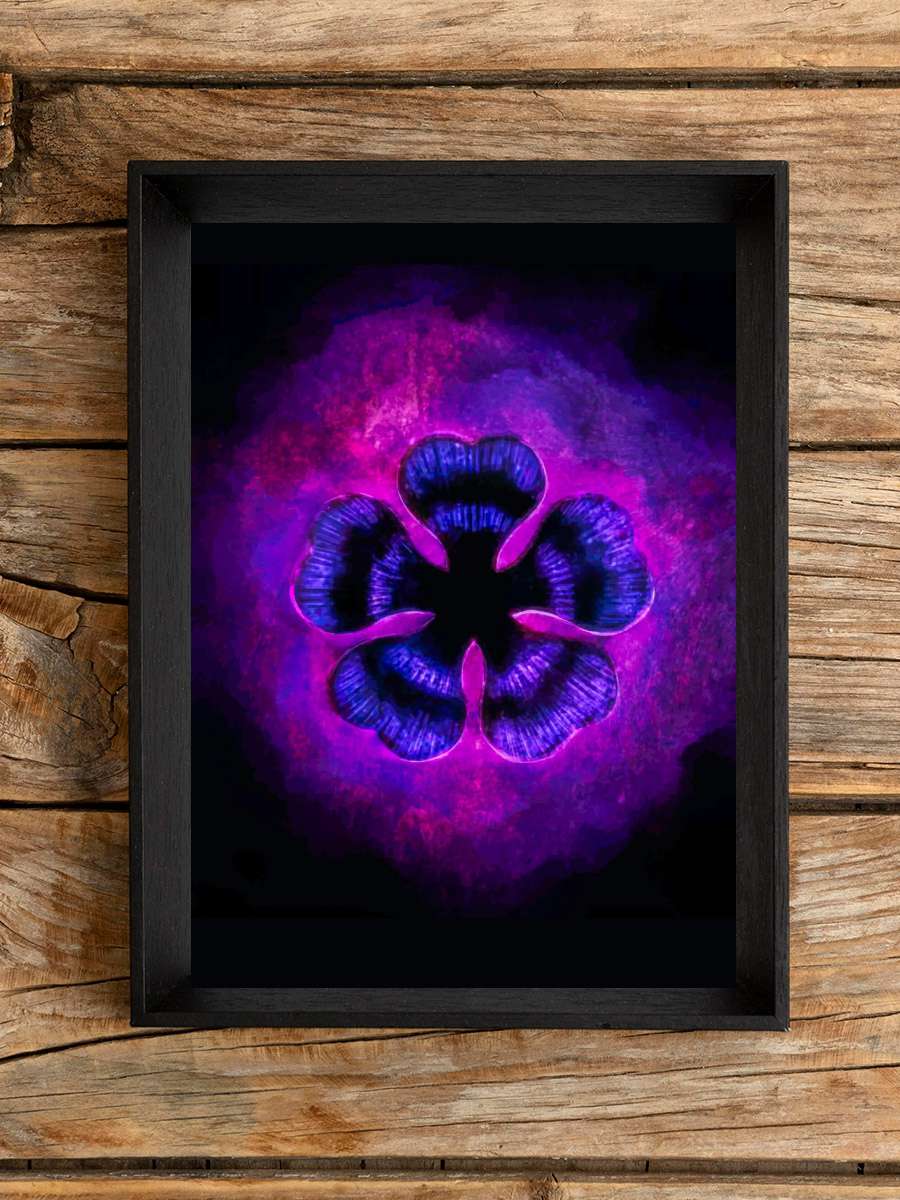 Black Clover Anime Poster Çerçevesiz Yüksek Kalite Anime Duvar Poster