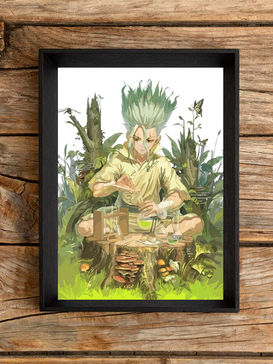 dr stone Anime Poster Çerçevesiz Yüksek Kalite Anime Duvar Poster
