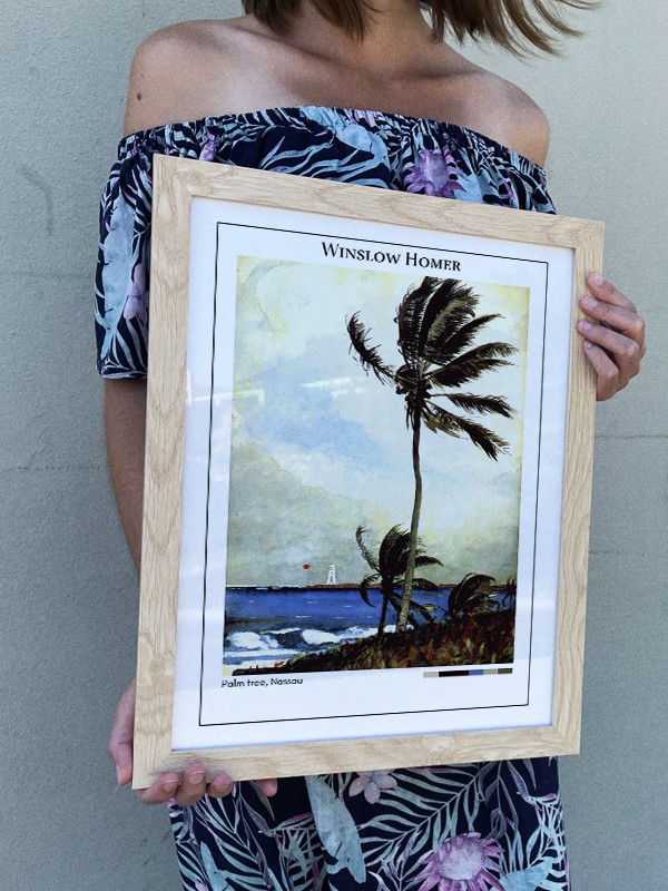 Winslow Homer Palm tree, Nassau Poster