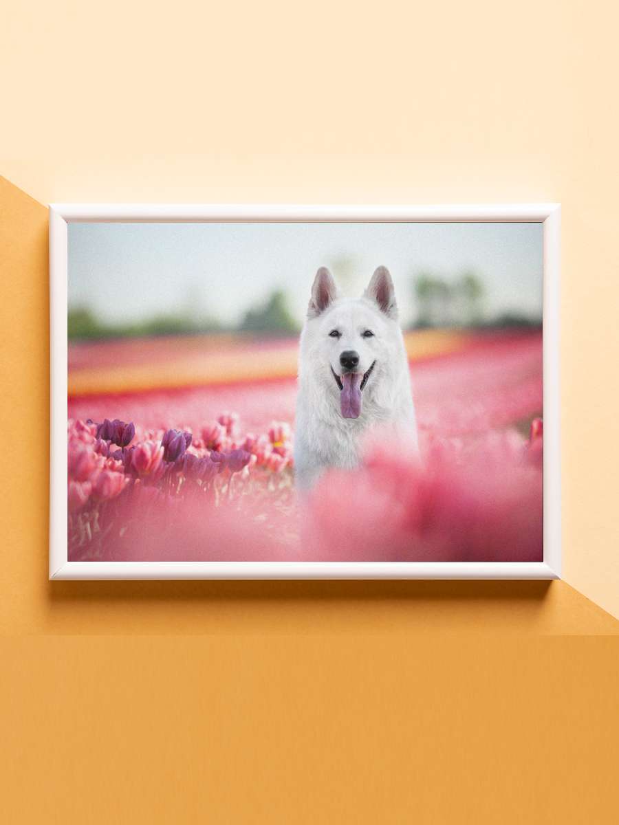 Swiss Shepherd spring cute Anime Poster Çerçevesiz Yüksek Kalite Anime Duvar Poster