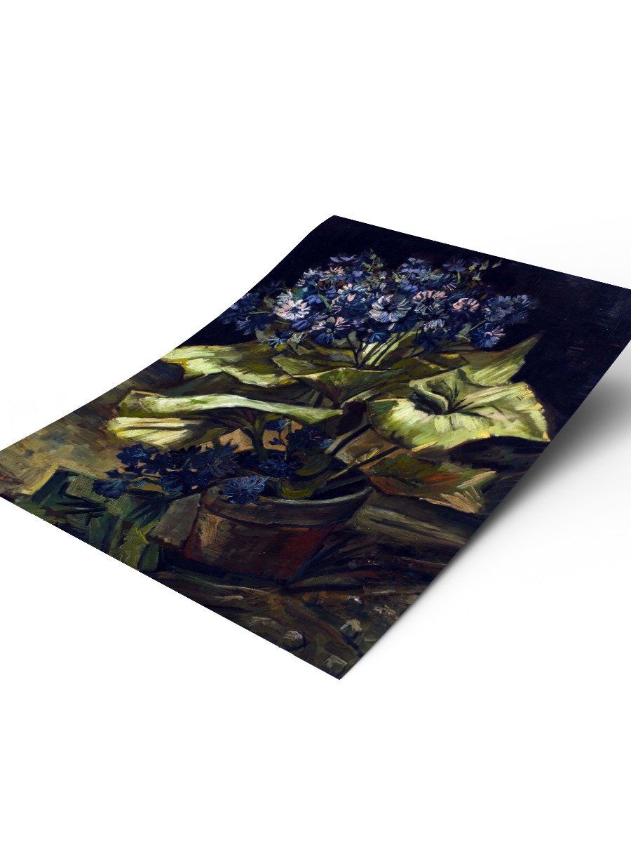 Van Gogh Cineraria  Tablo Sanatsal Ünlü Ressam Poster Çerçevesiz Yüksek Kalite Poster
